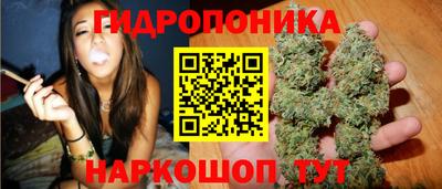 мяу мяу мука Кунгур