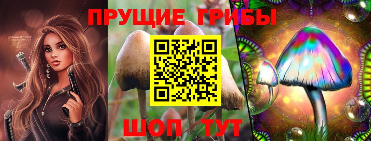 Избербаш  Псилоцибиновые грибы MAGIC MUSHROOMS  Вход с VPN 